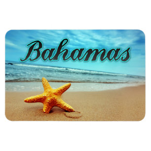 Bahamas starfish magnet