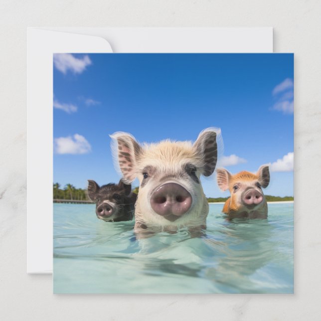 Bahamas Swimming Pig 2024 Invitation (Front)