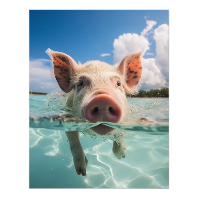 Bahamas Swimming Pig Photo Print (Front)