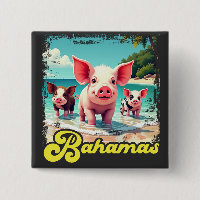 Bahamas Swimming Pigs - Exuma Pig Beach Adventure