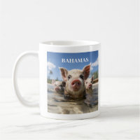Bahamas Swimming Pigs - Exuma Pig Beach Adventure