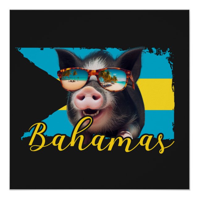 Bahamas Swimming Pigs - Exuma Pig Beach Adventure Poster (Front)