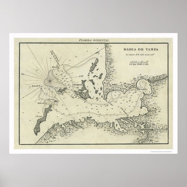Bahia De Tampa Florida Map 1809 Poster (Front)
