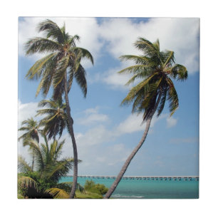 Bahia Honda State Park Ceramic Tile