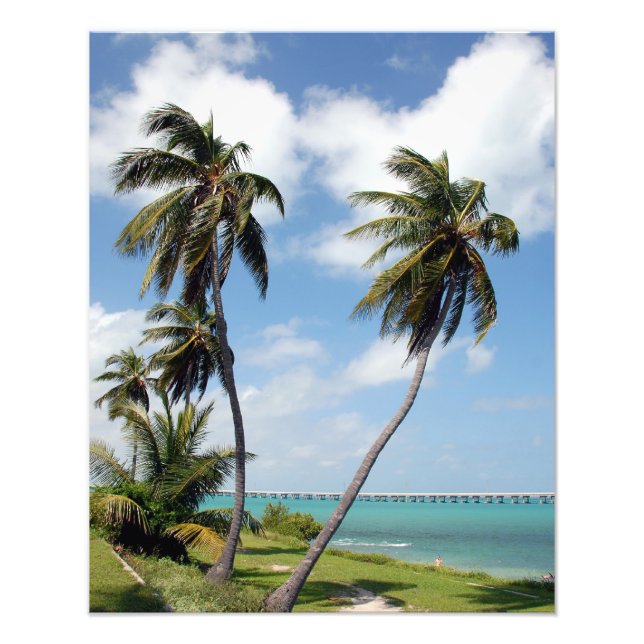 Bahia Honda State Park Florida Keys Photo Print (Front)