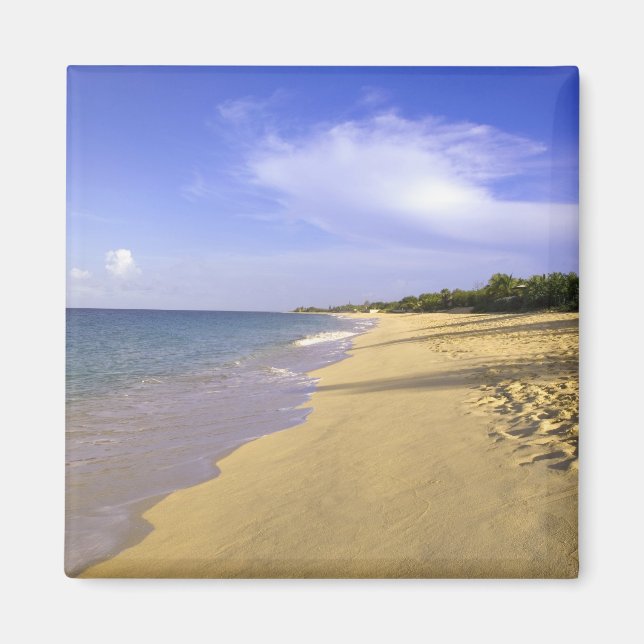 Baie Longue Long Bay beach, St. Martin, Magnet (Front)