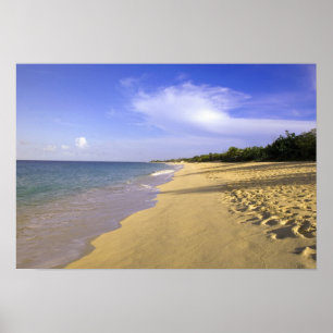 Baie Longue Long Bay beach, St. Martin, Poster