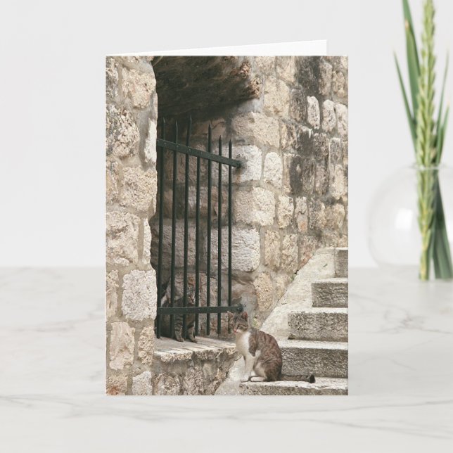 "bail me out" Card (blank inside) (Front)