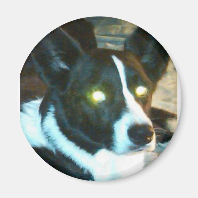 Bailey Magnet (Front)
