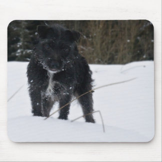 Bailey The Patterdale Terrier Mouse Pad