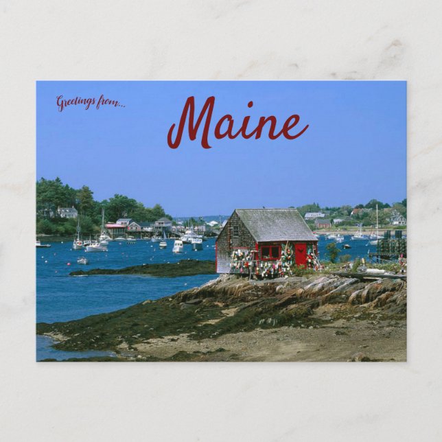 Bailey's Island Maine Postcard (Front)