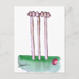 BAILS cricket, tony fernandes Postcard
