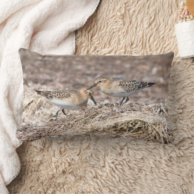Baird's Sandpipers on Autumn Beach Lumbar Cushion (Blanket)