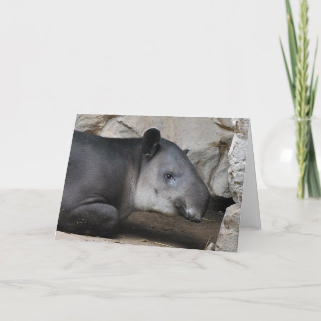 Baird's Tapir Greeting Card (Front)