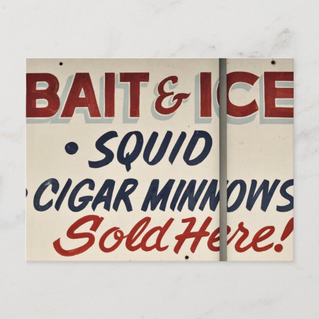 Bait Shop Sign Postcard (Front)
