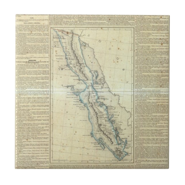 Baja California, Mexico Ceramic Tile (Front)