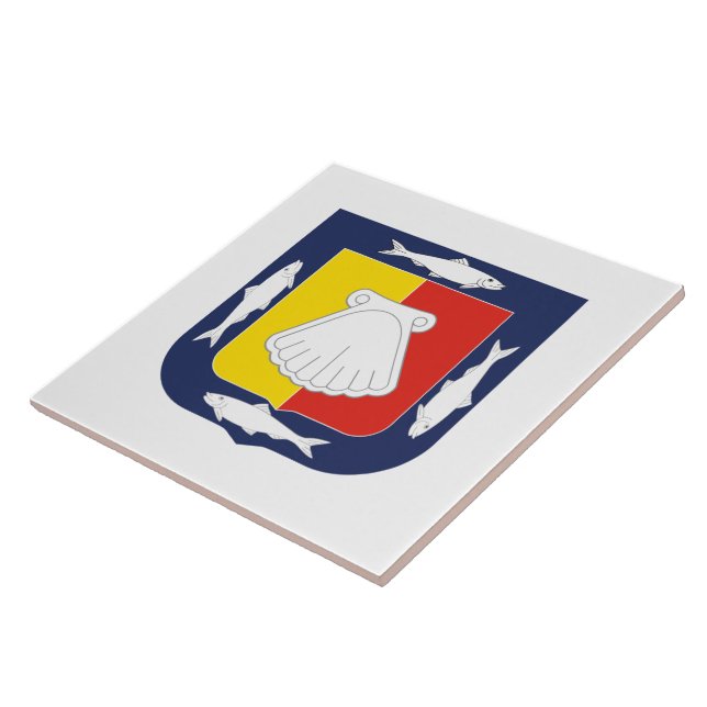 Baja California Sur coat of arms Ceramic Tile (Side)