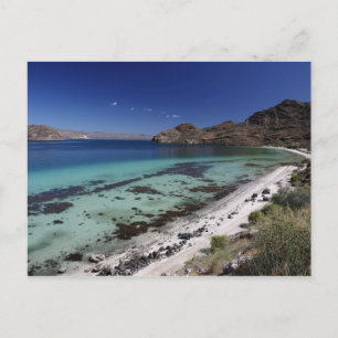 Baja Conception Bay Postcard