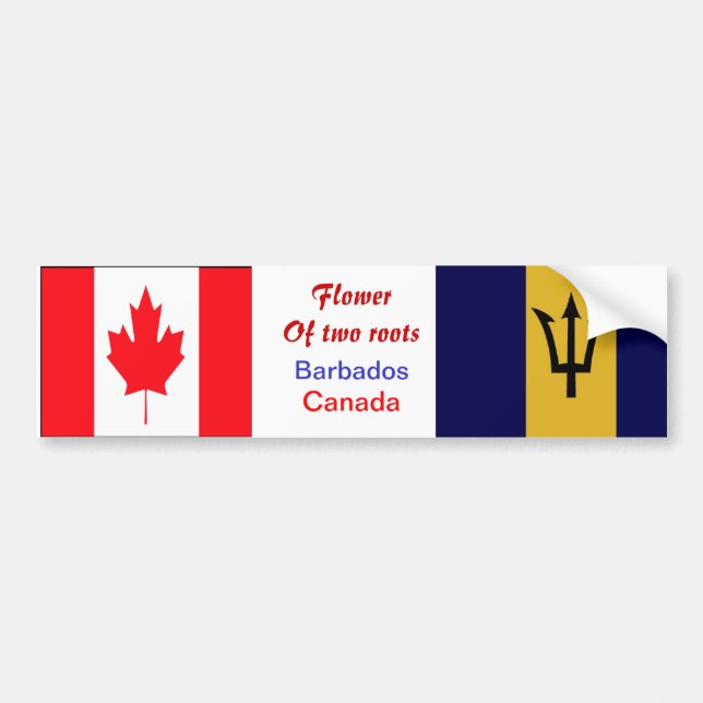 Bajan-canadian bumper stickers (Front)