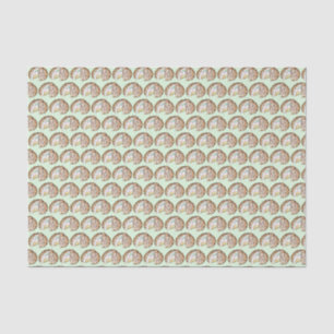 Baked Bombe Alaska Ice Cream Cake Dessert Food Tissue Paper