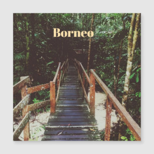 Bako National Park - Borneo