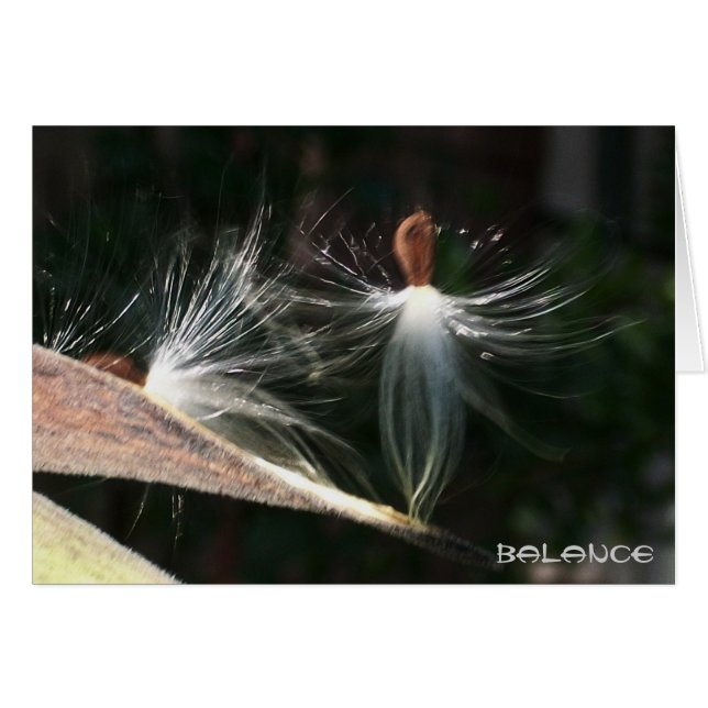 Balance (Front Horizontal)