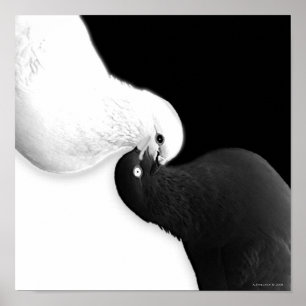 Balance by B & BB Poster