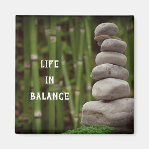 Balance magnet