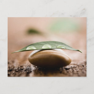 Balance postcard