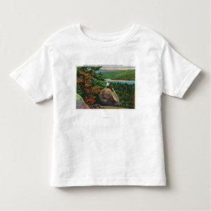 Balanced Rock View of Fulton Chain of Lakes Toddler T-Shirt