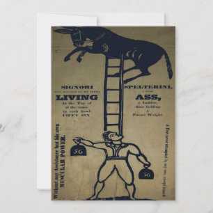 Balancing a Living Donkey ~ Invitations