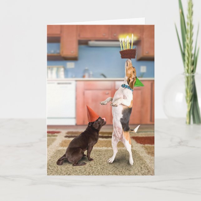 Balancing Cake Card (Front)