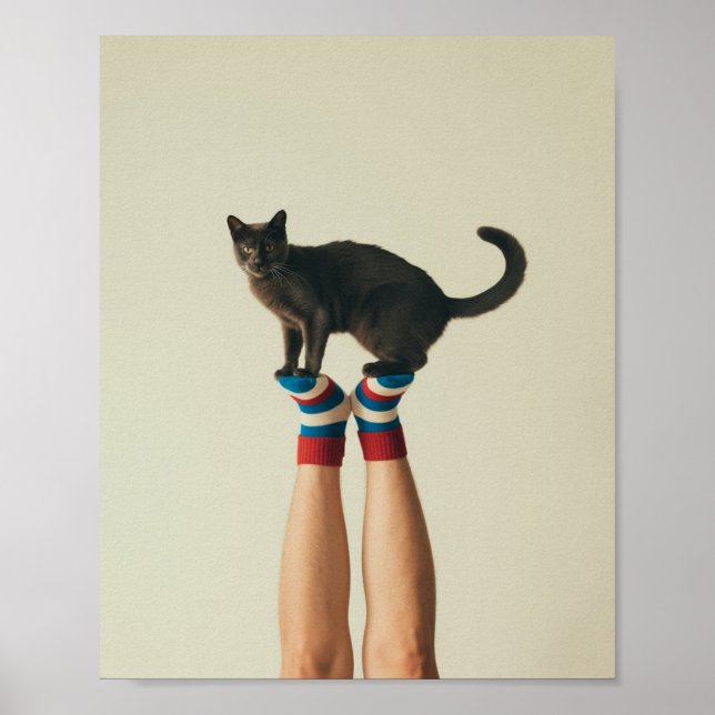 Balancing Cat on Striped Socks, Black Cat Poster (Front)