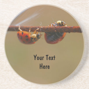 Balancing Ladybugs Nature Drink Coaster