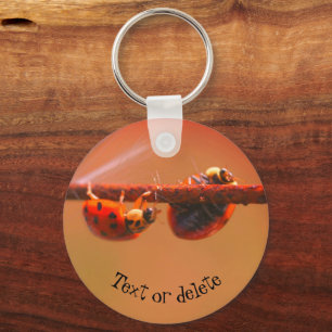 Balancing Ladybugs Nature Personalised Key Ring