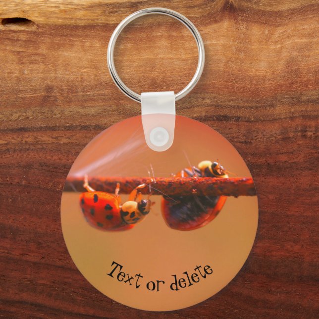 Balancing Ladybugs Nature Personalised Key Ring (Front)