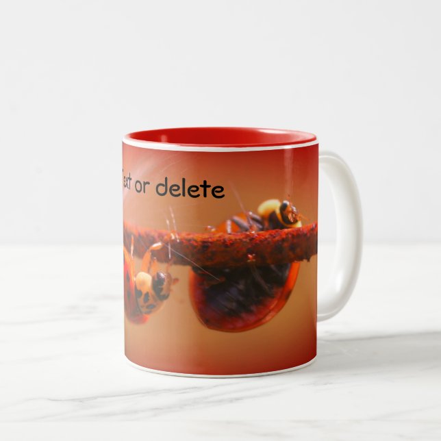 Balancing Ladybugs Nature Personalised Two-Tone Coffee Mug (Front Right)