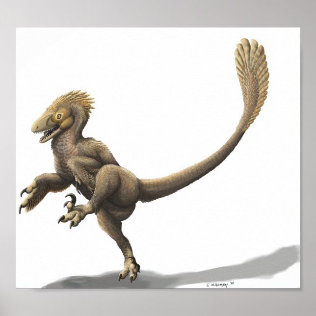 Balaur Bondoc Print (Front)