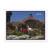 Balboa Park Botanical Building Egret Flowers Frame
