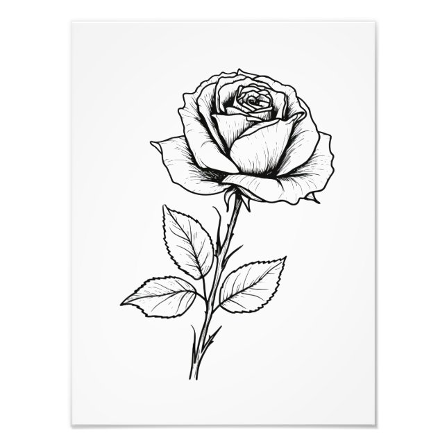 Balck White Rose Line Art Photo Print (Front)
