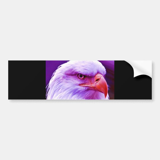 Bald American Eagle Bumper Sticker (Front)