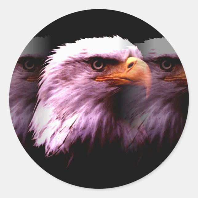 Bald American Eagle Classic Round Sticker (Front)