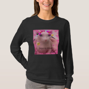 Bald Bingus My Beloved Hairless Sphinx Cat T-Shirt