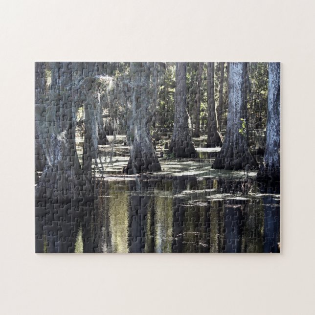 Bald Cypress Jigsaw Puzzle (Horizontal)