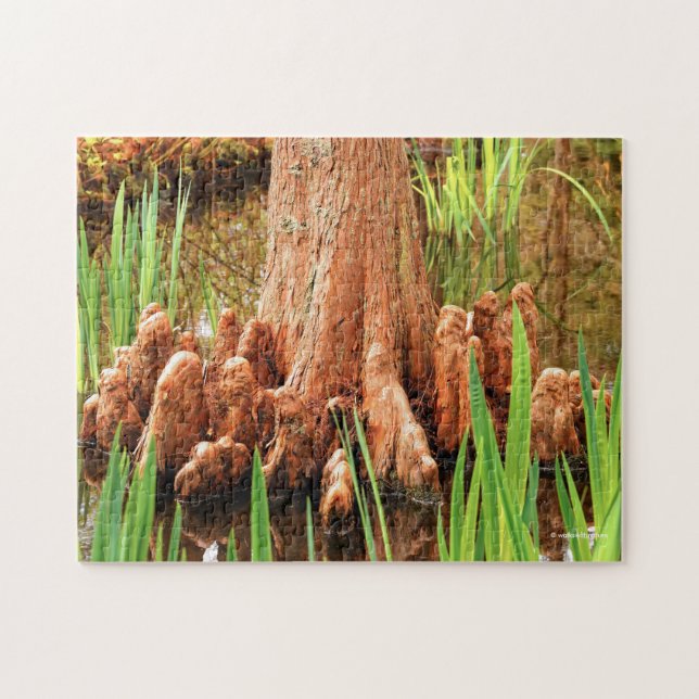 Bald Cypress Knees Jigsaw Puzzle (Horizontal)