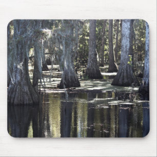 Bald Cypress Mouse Pad