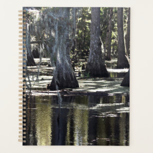 Bald Cypress Planner