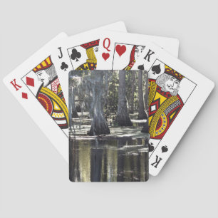 Bald Cypress Playing Cards
