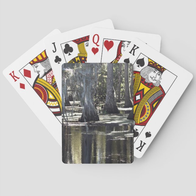 Bald Cypress Playing Cards (Back)