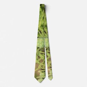 Bald Cypress Seed Cone Neck Tie